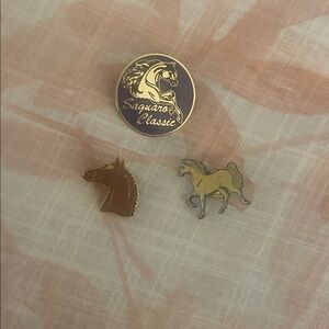 Saguaro Classic Horse Pins Set